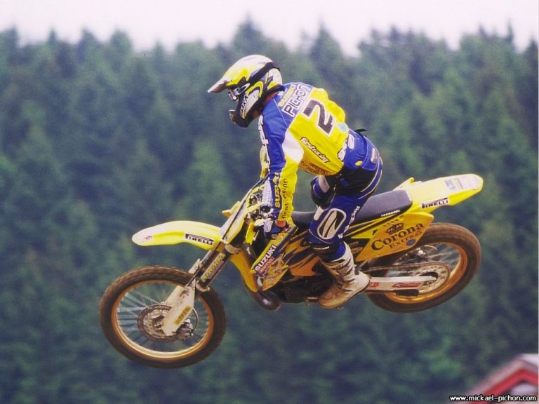 Mickaël Pichon – WM-Saison 2001 - Klasse 250 ccm - GP von Australien