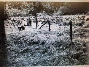 2bad86aa-8744-40c4-99df-9d4b688ce3c4