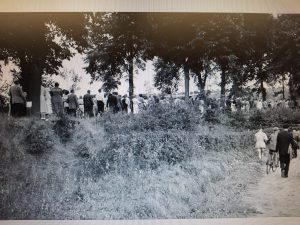 41048bde-fd94-4cc3-b538-9b7bb58aaf4b