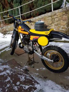 ARNO-Philippowsky-MAICO1-schwarz-gelb