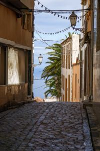 pexels-photo-29578477