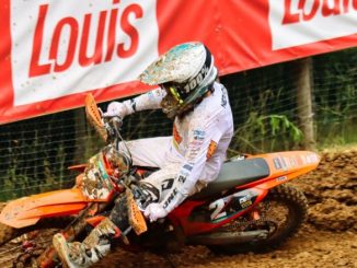 Luca Nierychlo / KTM MX Futures