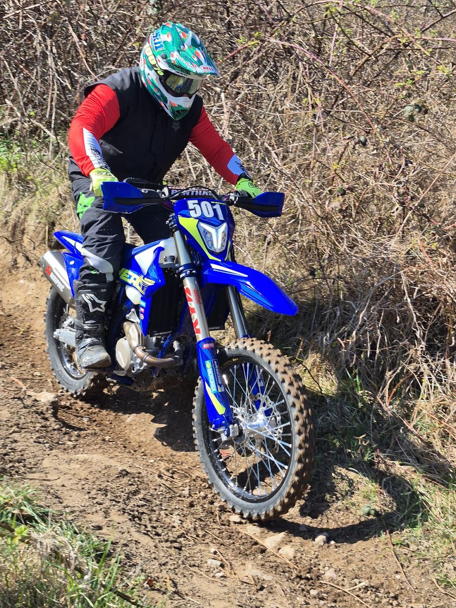 Dirk Pohl auf einer blauen Sherco Enduro mit der Startnummer 501 auf einem trockenen Waldweg