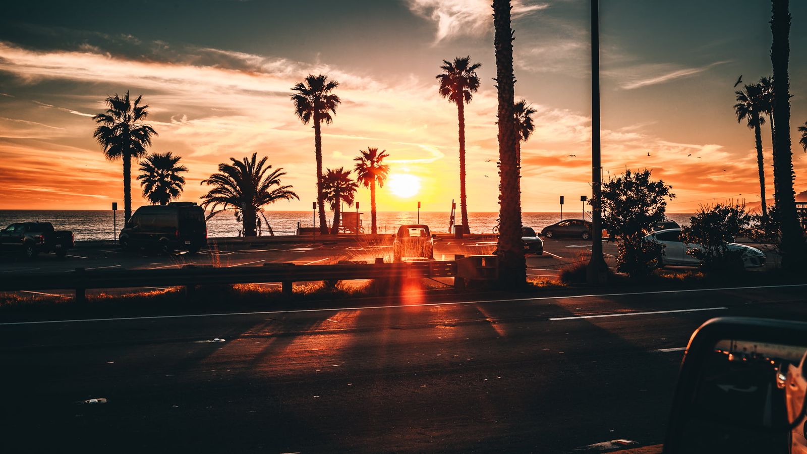 Sonnenuntergang mit Palmen in Kalifornien